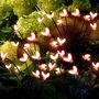 19.9 - Ηλιακά Διακοσμητικά Φώτα Κήπου με Σχήμα Μέλισσα 2 τεμάχια